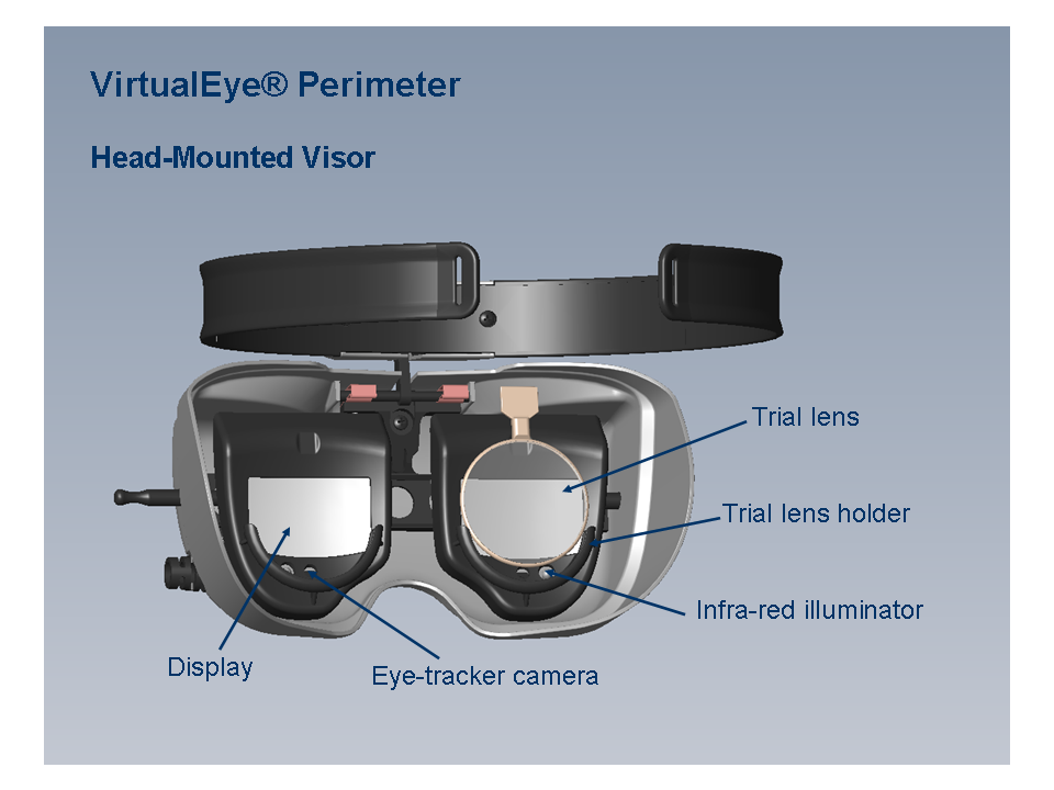 VEgoggles